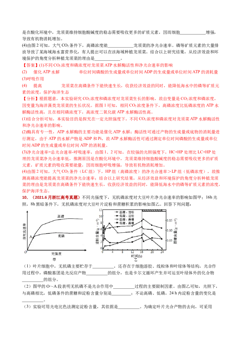 五年（2021-2025）全国高考生物真题分类汇编专题05细胞呼吸和光合作用（全国通用）（解析版）_高考真题分类汇编_高考生物真题分类汇编（全国通用）五年（2021-2025）