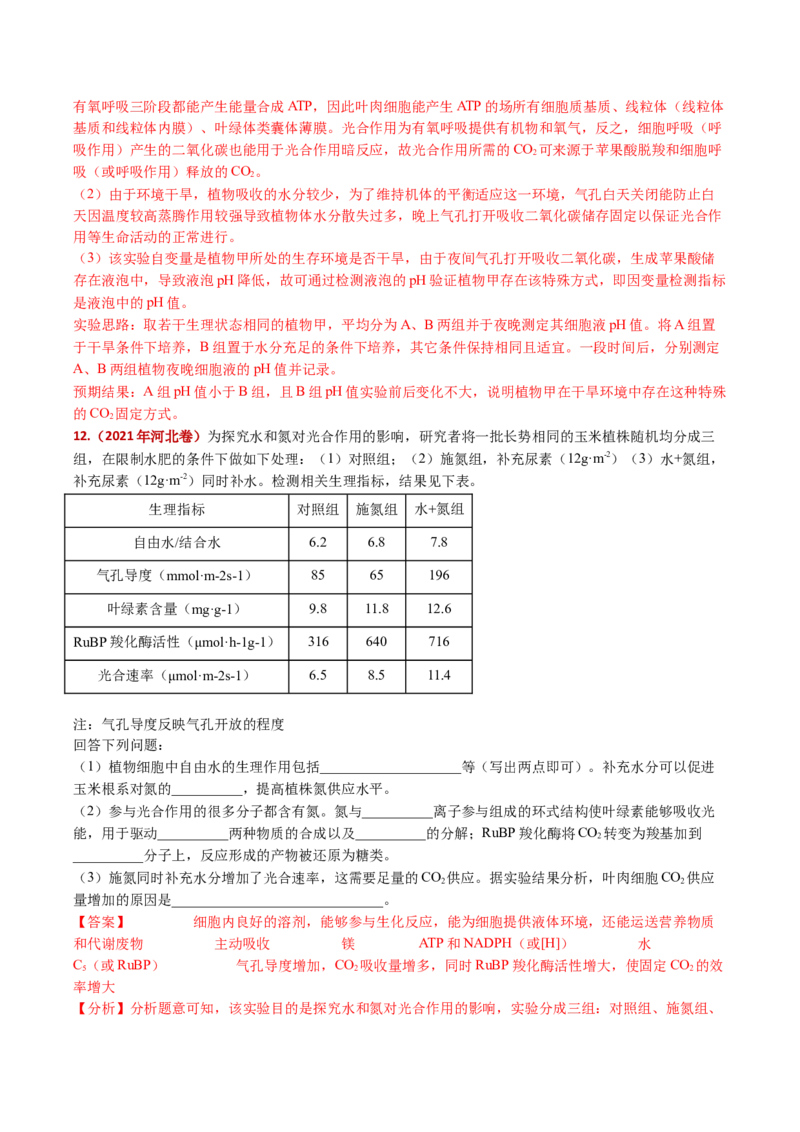 五年（2021-2025）全国高考生物真题分类汇编专题05细胞呼吸和光合作用（全国通用）（解析版）_高考真题分类汇编_高考生物真题分类汇编（全国通用）五年（2021-2025）
