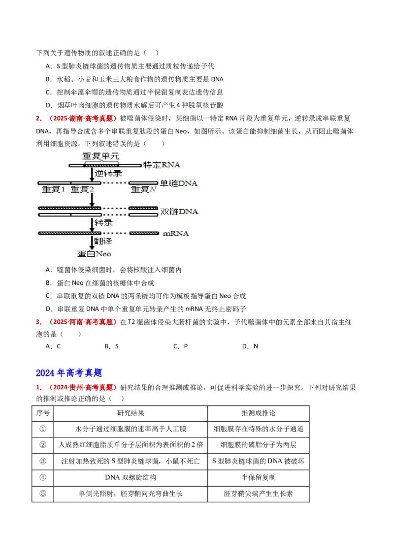 五年（2021-2025）全国高考生物真题分类汇编专题08遗传的分子基础（全国通用）（原卷版）_高考真题分类汇编_高考生物真题分类汇编（全国通用）五年（2021-2025）