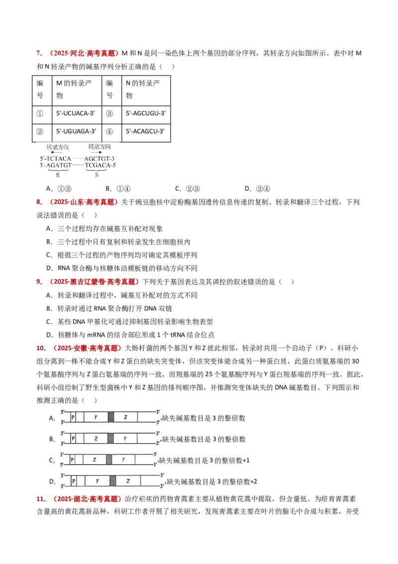 五年（2021-2025）全国高考生物真题分类汇编专题08遗传的分子基础（全国通用）（原卷版）_高考真题分类汇编_高考生物真题分类汇编（全国通用）五年（2021-2025）