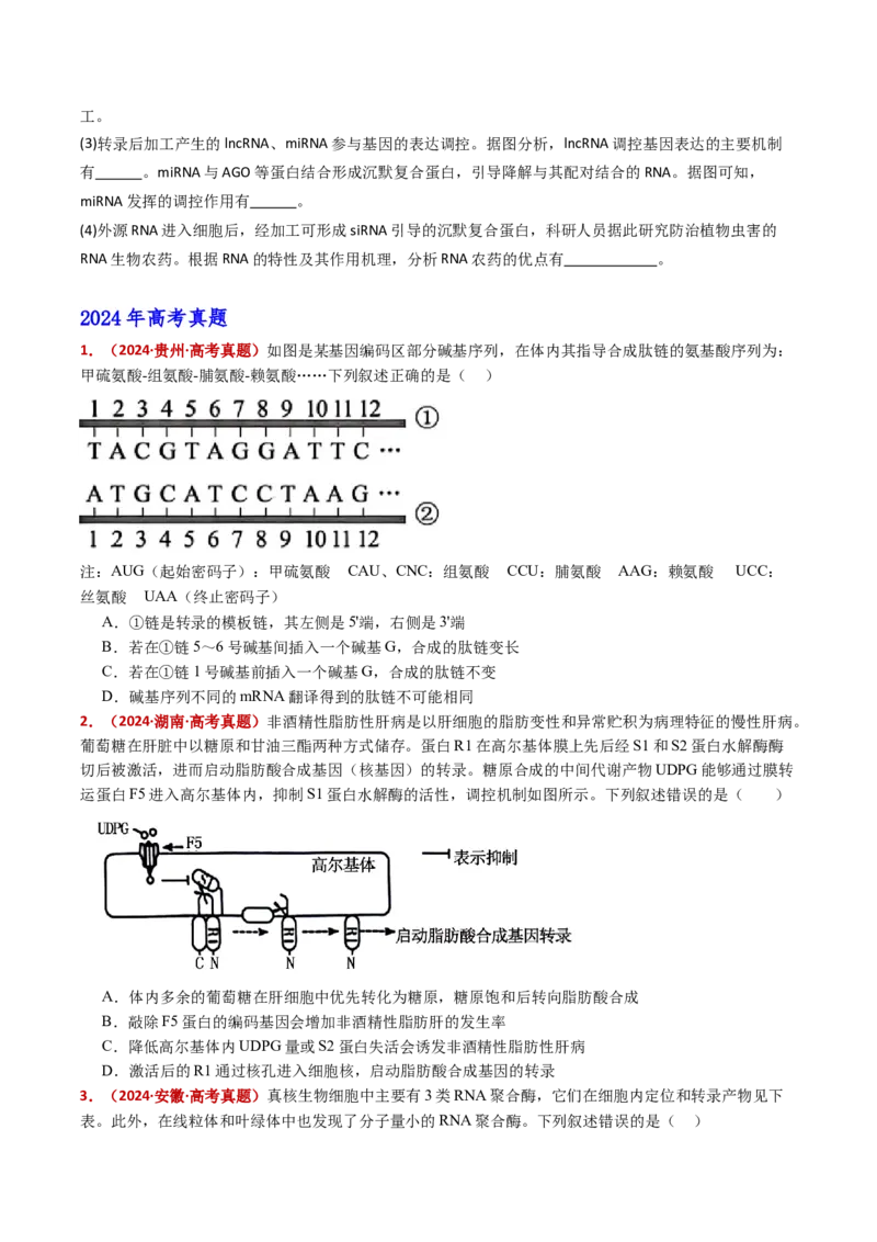 五年（2021-2025）全国高考生物真题分类汇编专题08遗传的分子基础（全国通用）（原卷版）_高考真题分类汇编_高考生物真题分类汇编（全国通用）五年（2021-2025）