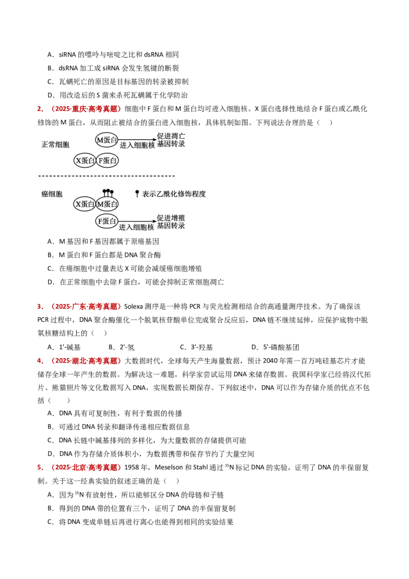 五年（2021-2025）全国高考生物真题分类汇编专题08遗传的分子基础（全国通用）（原卷版）_高考真题分类汇编_高考生物真题分类汇编（全国通用）五年（2021-2025）