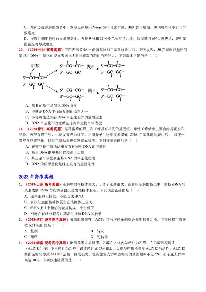 五年（2021-2025）全国高考生物真题分类汇编专题08遗传的分子基础（全国通用）（原卷版）_高考真题分类汇编_高考生物真题分类汇编（全国通用）五年（2021-2025）