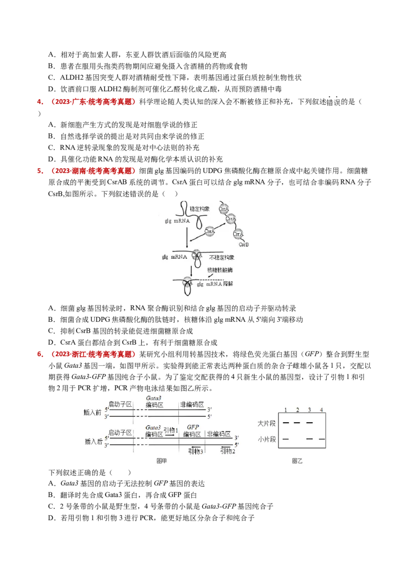 五年（2021-2025）全国高考生物真题分类汇编专题08遗传的分子基础（全国通用）（原卷版）_高考真题分类汇编_高考生物真题分类汇编（全国通用）五年（2021-2025）