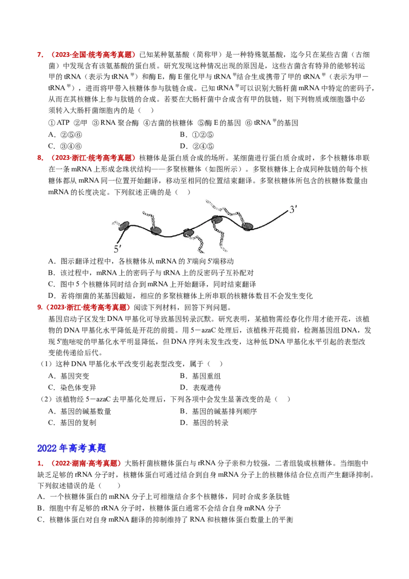 五年（2021-2025）全国高考生物真题分类汇编专题08遗传的分子基础（全国通用）（原卷版）_高考真题分类汇编_高考生物真题分类汇编（全国通用）五年（2021-2025）