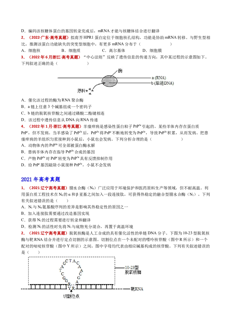 五年（2021-2025）全国高考生物真题分类汇编专题08遗传的分子基础（全国通用）（原卷版）_高考真题分类汇编_高考生物真题分类汇编（全国通用）五年（2021-2025）