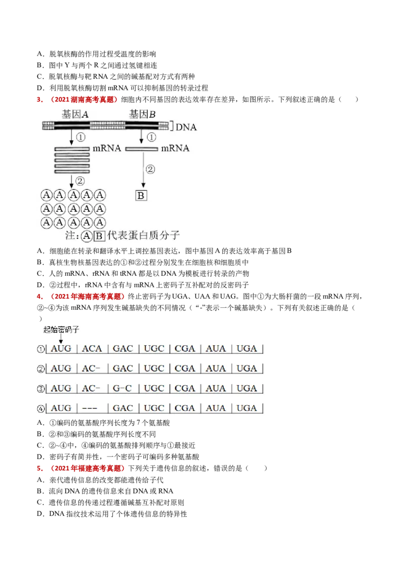 五年（2021-2025）全国高考生物真题分类汇编专题08遗传的分子基础（全国通用）（原卷版）_高考真题分类汇编_高考生物真题分类汇编（全国通用）五年（2021-2025）