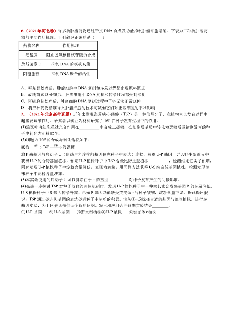 五年（2021-2025）全国高考生物真题分类汇编专题08遗传的分子基础（全国通用）（原卷版）_高考真题分类汇编_高考生物真题分类汇编（全国通用）五年（2021-2025）