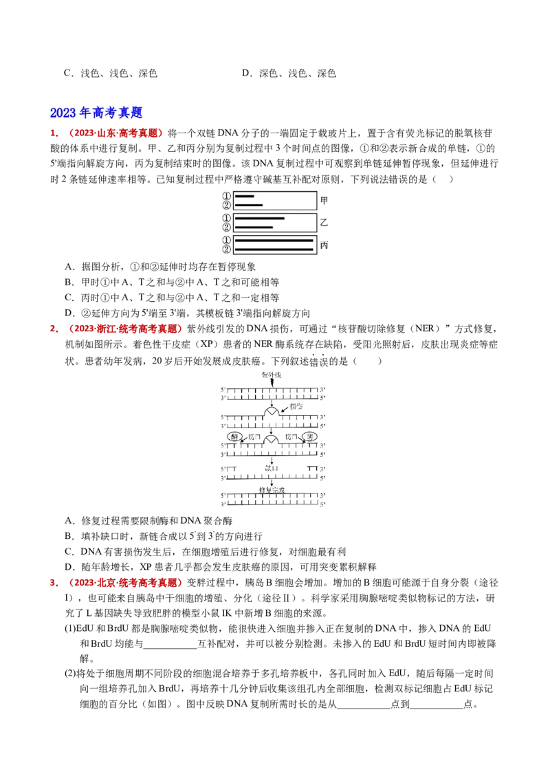 五年（2021-2025）全国高考生物真题分类汇编专题08遗传的分子基础（全国通用）（原卷版）_高考真题分类汇编_高考生物真题分类汇编（全国通用）五年（2021-2025）