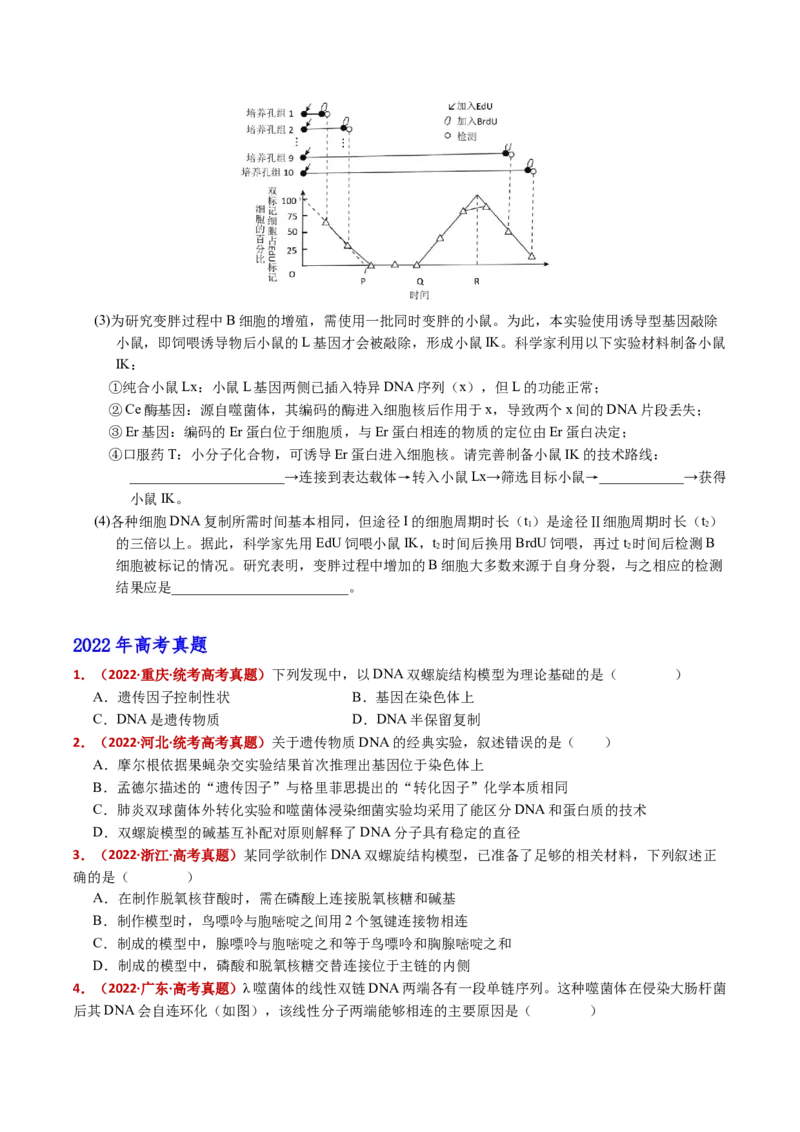 五年（2021-2025）全国高考生物真题分类汇编专题08遗传的分子基础（全国通用）（原卷版）_高考真题分类汇编_高考生物真题分类汇编（全国通用）五年（2021-2025）