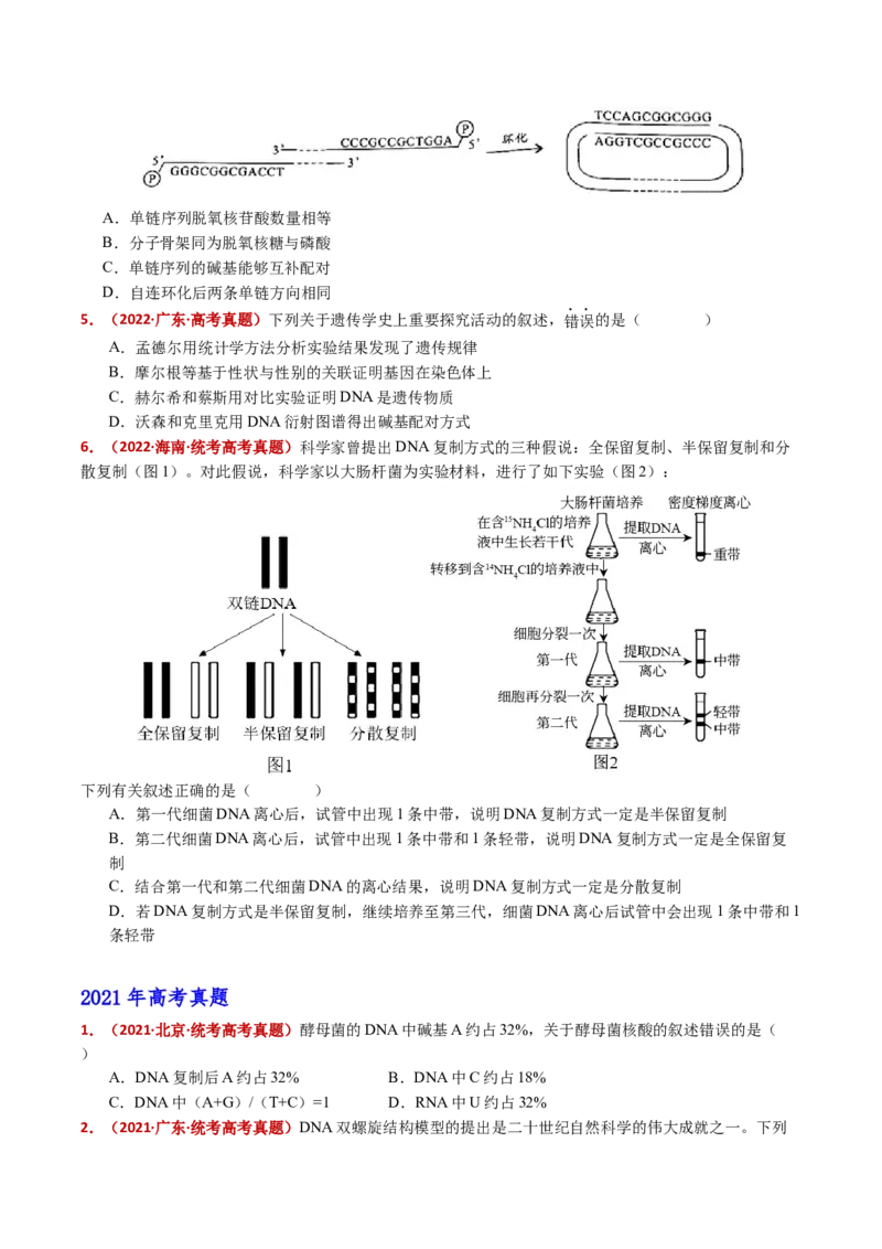 五年（2021-2025）全国高考生物真题分类汇编专题08遗传的分子基础（全国通用）（原卷版）_高考真题分类汇编_高考生物真题分类汇编（全国通用）五年（2021-2025）