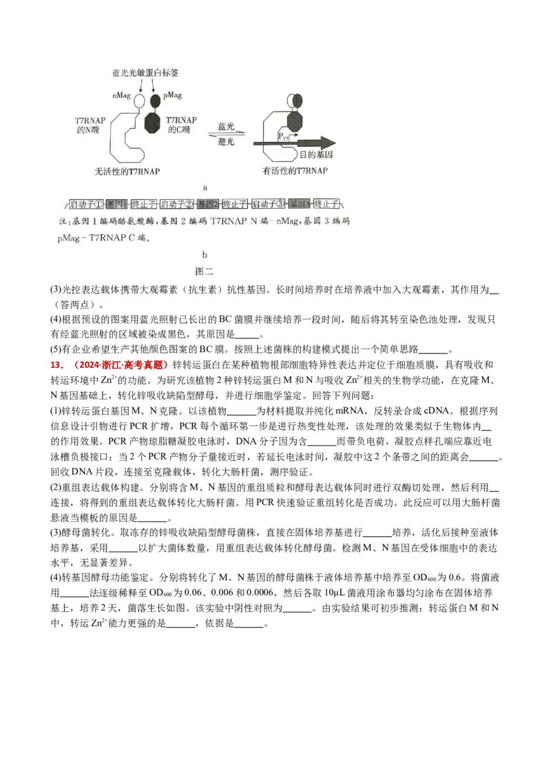 五年（2021-2025）全国高考生物真题分类汇编专题20发酵工程（全国通用）（原卷版）_高考真题分类汇编_高考生物真题分类汇编（全国通用）五年（2021-2025）
