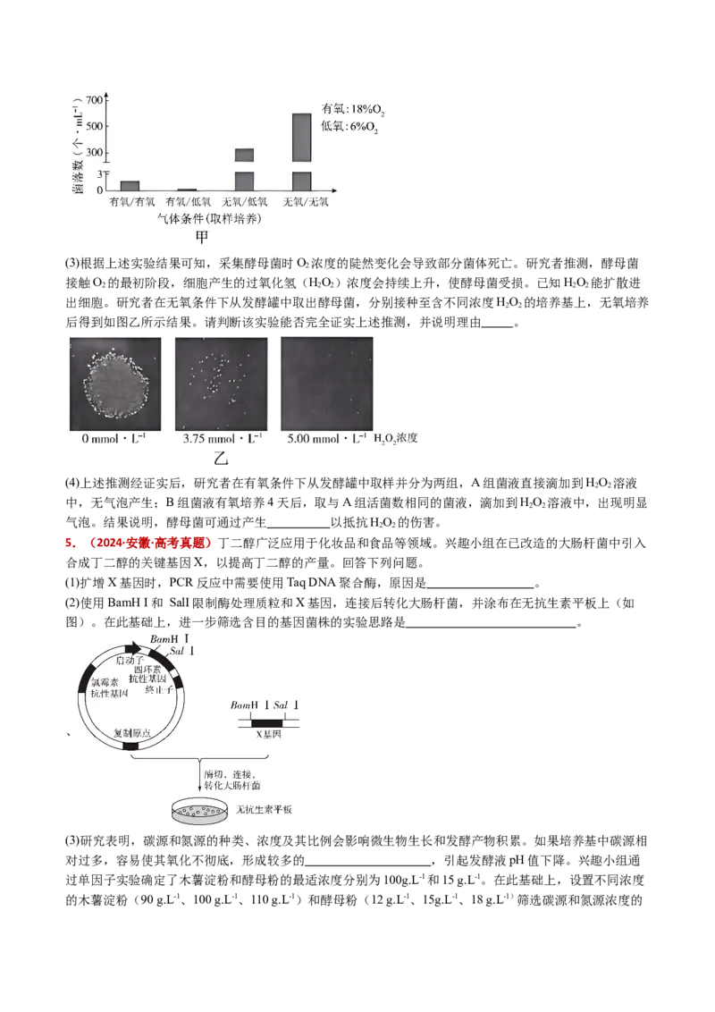 五年（2021-2025）全国高考生物真题分类汇编专题20发酵工程（全国通用）（原卷版）_高考真题分类汇编_高考生物真题分类汇编（全国通用）五年（2021-2025）