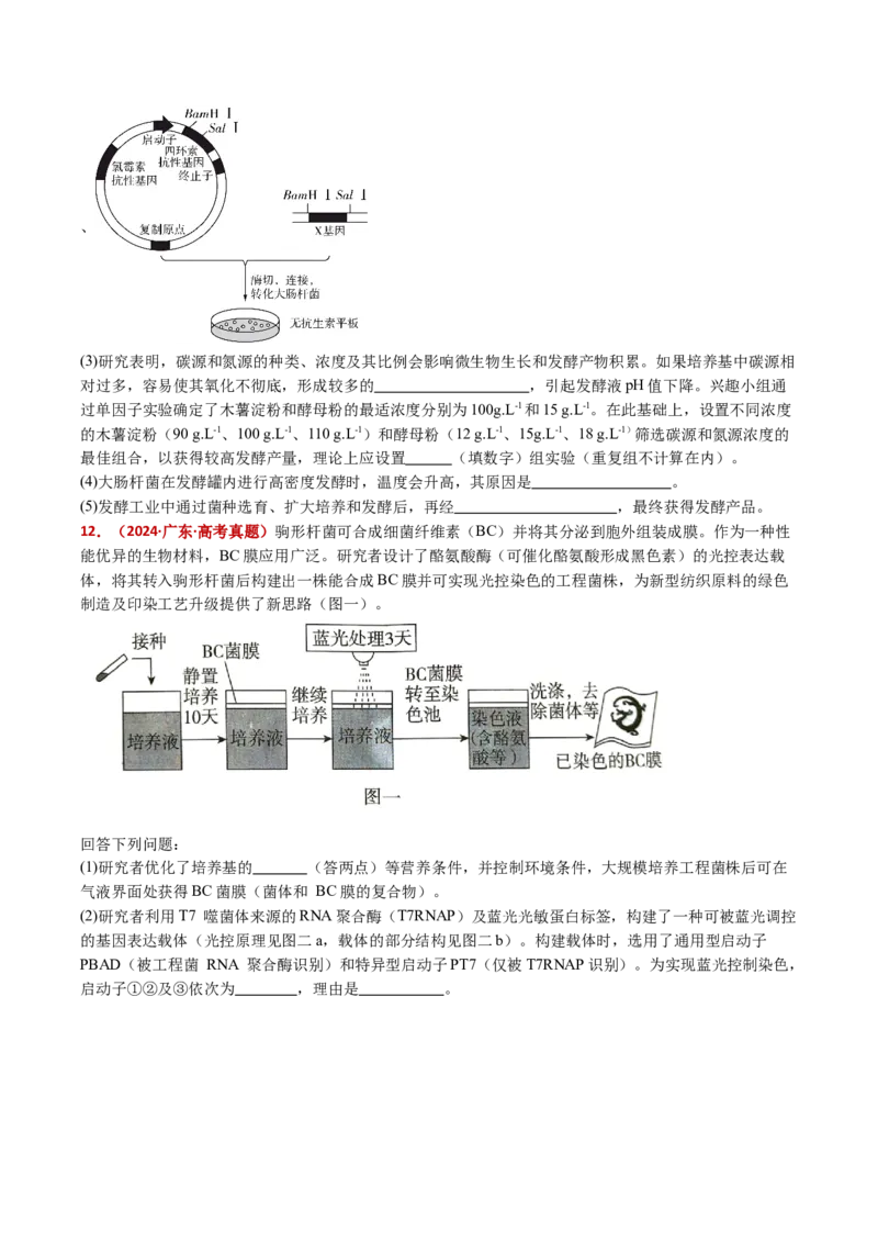 五年（2021-2025）全国高考生物真题分类汇编专题20发酵工程（全国通用）（原卷版）_高考真题分类汇编_高考生物真题分类汇编（全国通用）五年（2021-2025）