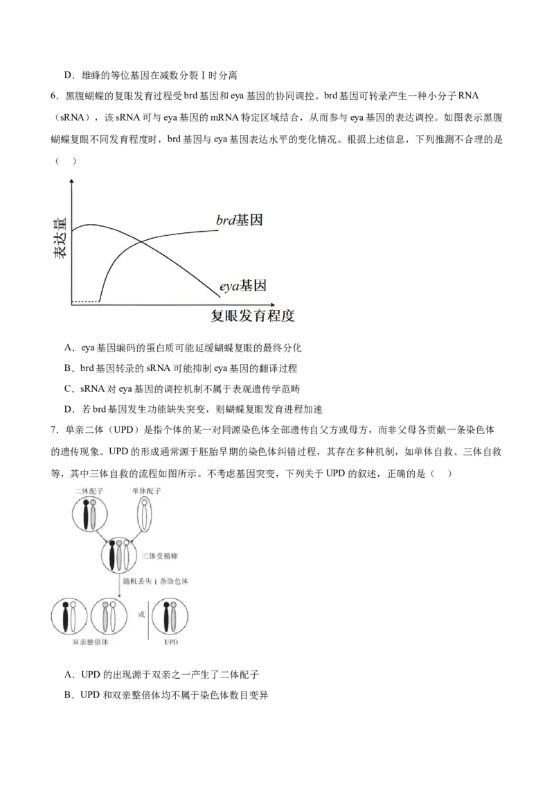 江西省赣州市2025-2026学年高二上学期10月联考试题生物Word版含答案_2025年11月高二试卷_251113江西省赣州市2025-2026学年高二上学期10月联考试题