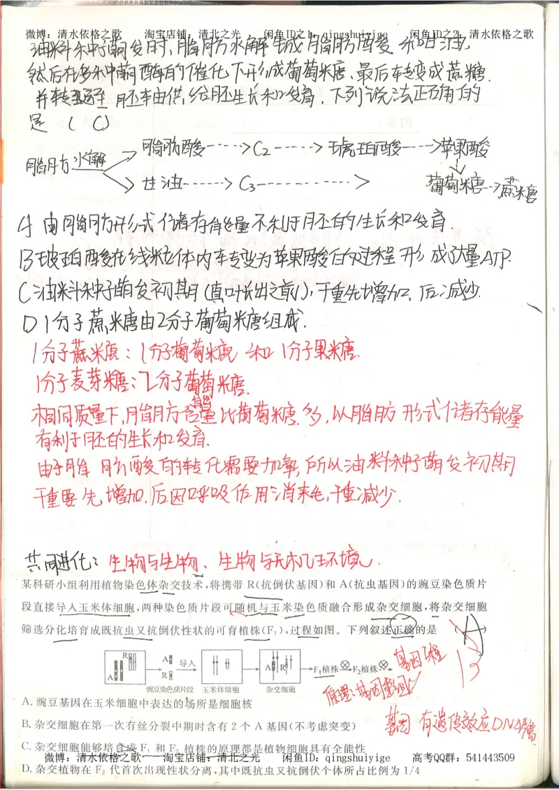 高考积累与改错_生物_121页_高中衡水学霸笔记_高中全部赠品_错题集高中九科_生物积累与改错