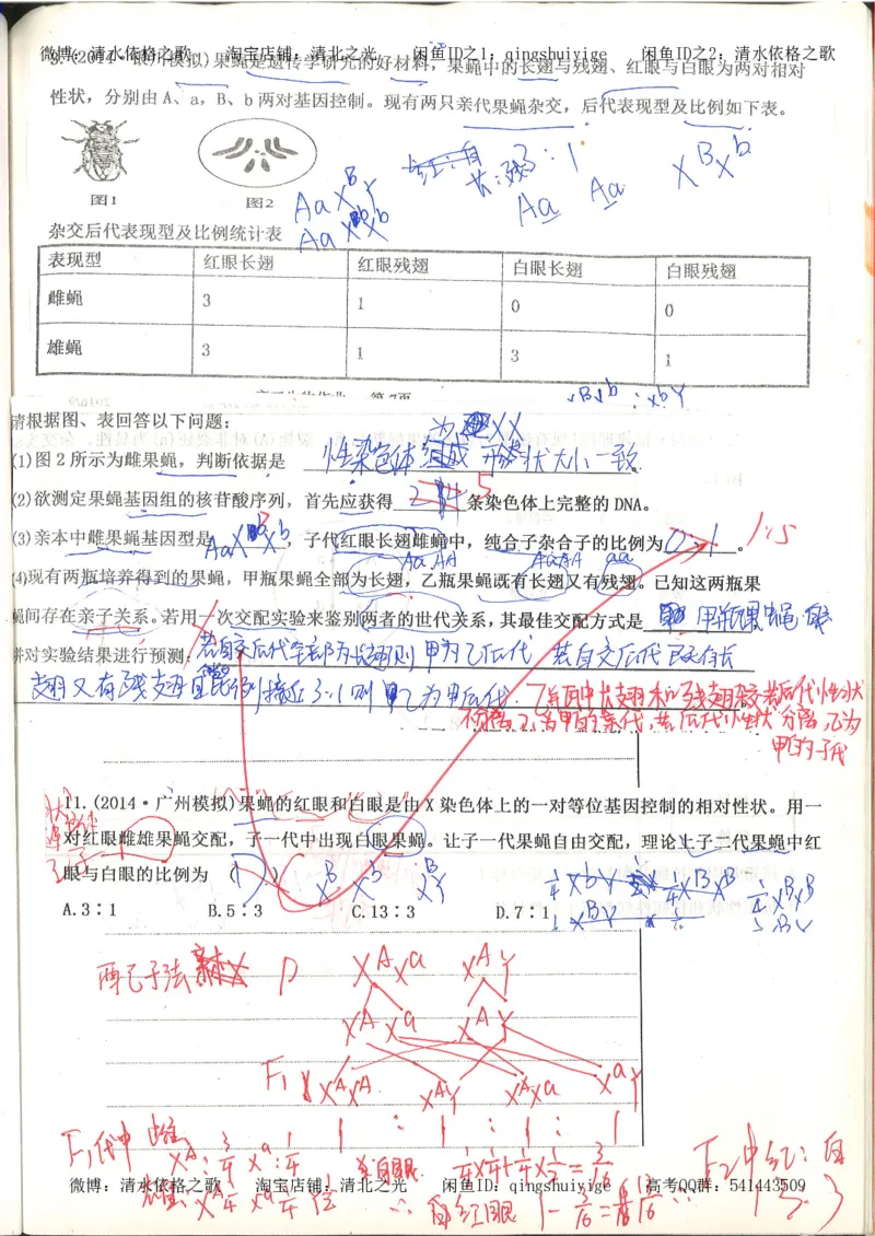 高考积累与改错_生物_121页_高中衡水学霸笔记_高中全部赠品_错题集高中九科_生物积累与改错