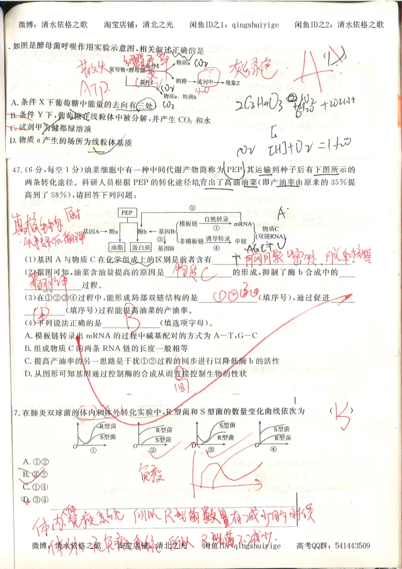 高考积累与改错_生物_121页_高中衡水学霸笔记_高中全部赠品_错题集高中九科_生物积累与改错