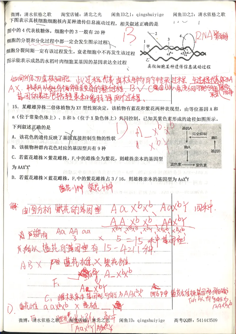 高考积累与改错_生物_121页_高中衡水学霸笔记_高中全部赠品_错题集高中九科_生物积累与改错