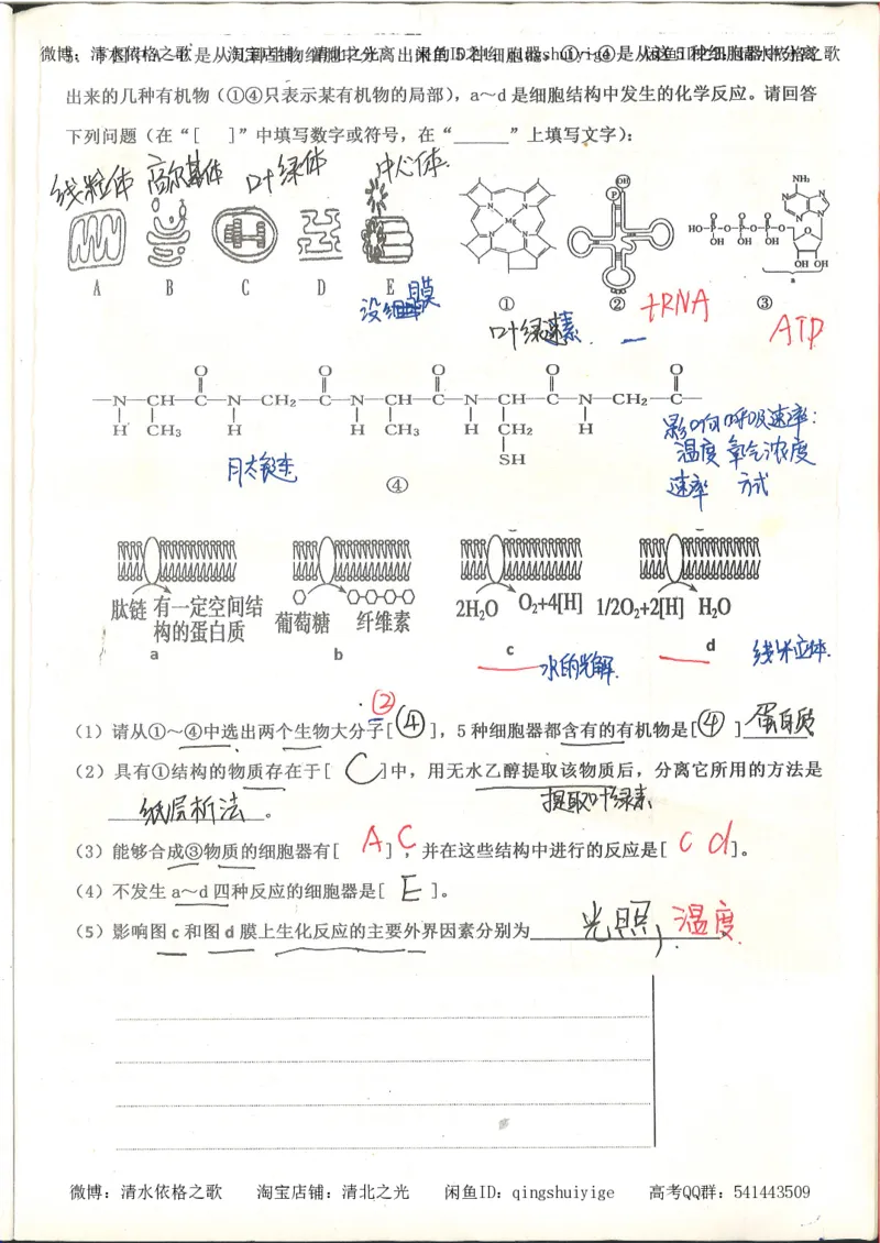 高考积累与改错_生物_121页_高中衡水学霸笔记_高中全部赠品_错题集高中九科_生物积累与改错