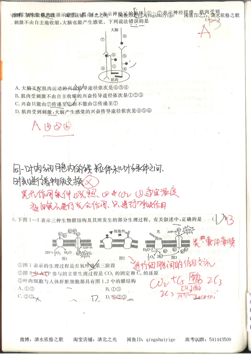 高考积累与改错_生物_121页_高中衡水学霸笔记_高中全部赠品_错题集高中九科_生物积累与改错