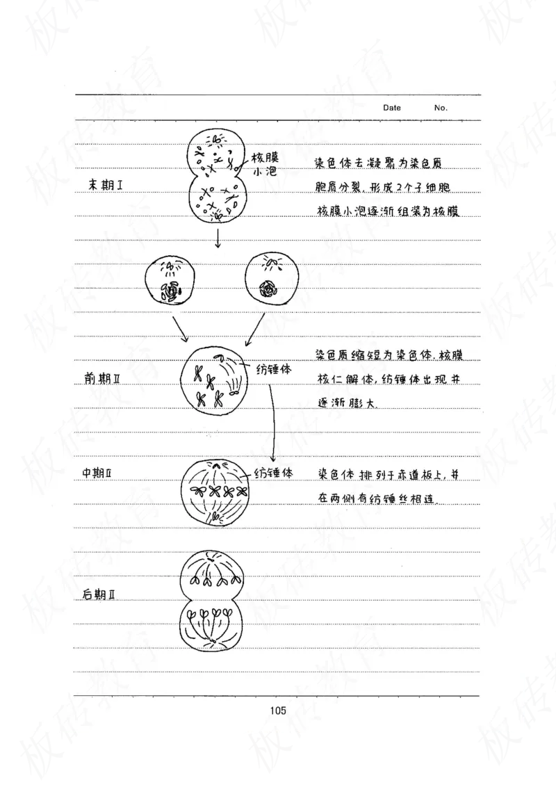 高考学霸笔记生物461页_高中衡水学霸笔记_理科衡水学霸笔记-电子版