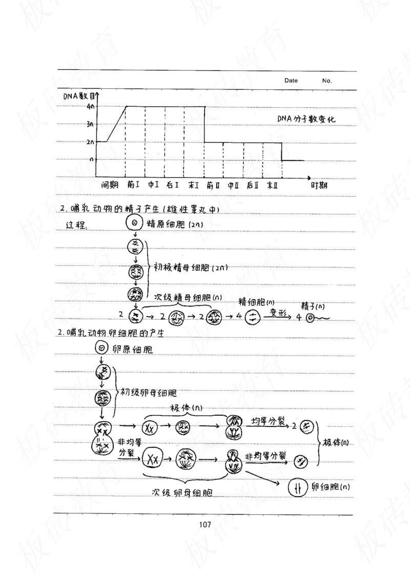高考学霸笔记生物461页_高中衡水学霸笔记_理科衡水学霸笔记-电子版