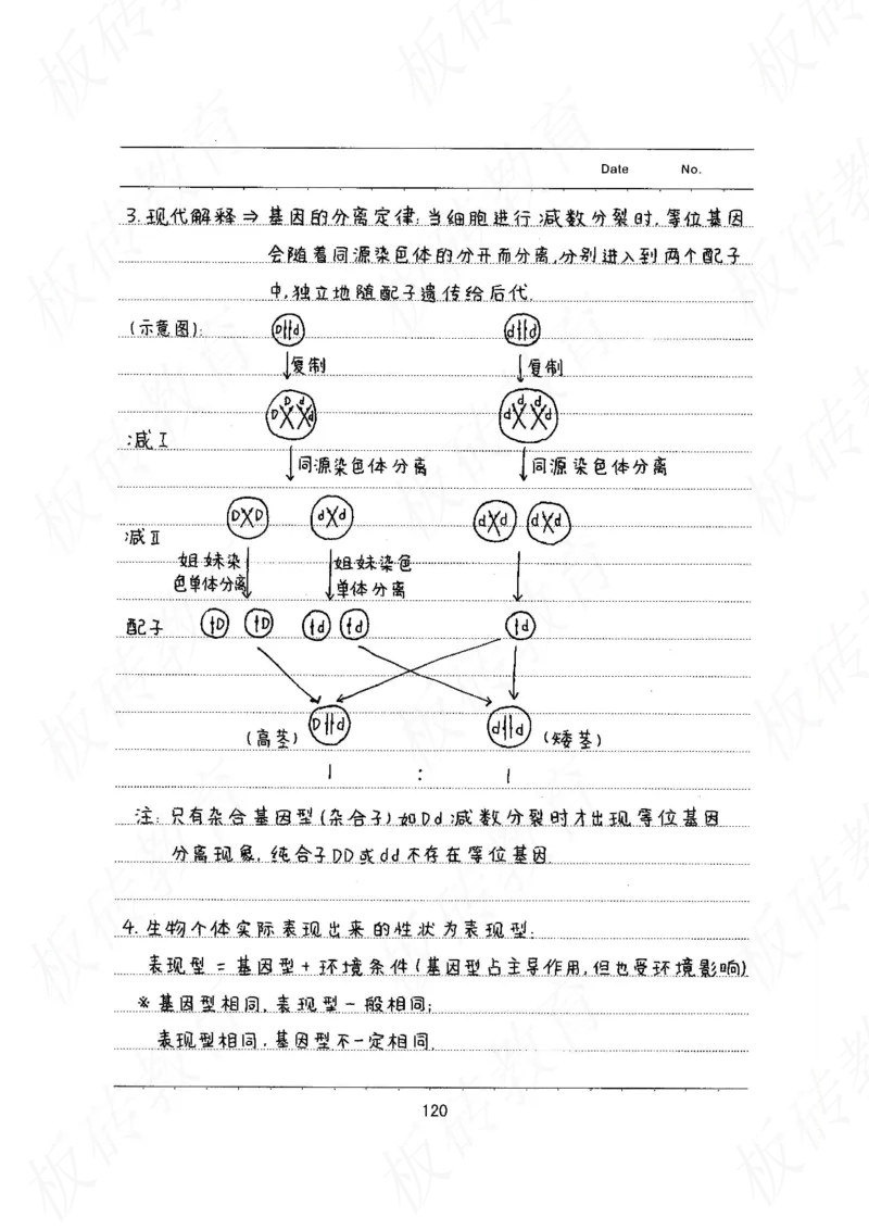 高考学霸笔记生物461页_高中衡水学霸笔记_理科衡水学霸笔记-电子版
