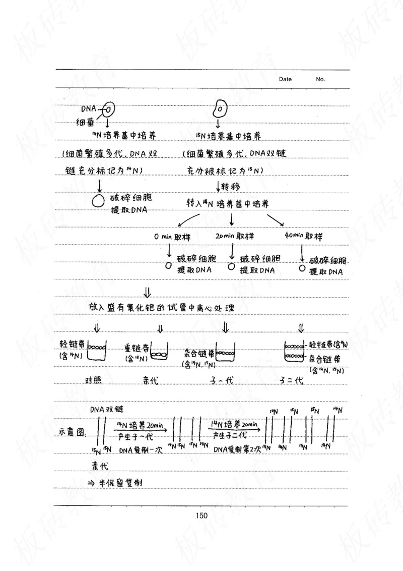 高考学霸笔记生物461页_高中衡水学霸笔记_理科衡水学霸笔记-电子版