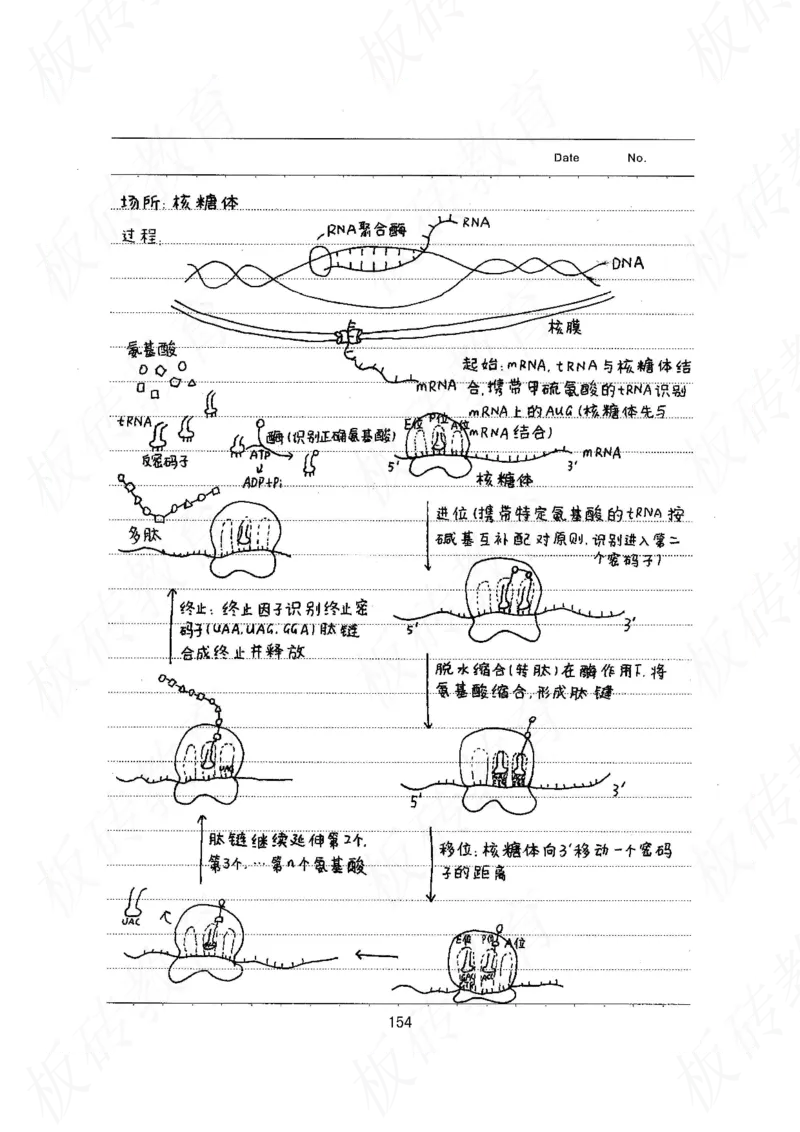 高考学霸笔记生物461页_高中衡水学霸笔记_理科衡水学霸笔记-电子版