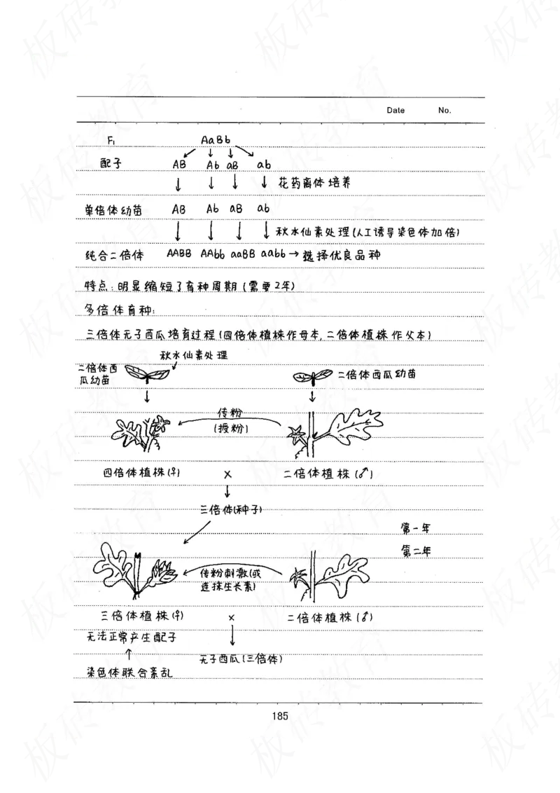 高考学霸笔记生物461页_高中衡水学霸笔记_理科衡水学霸笔记-电子版