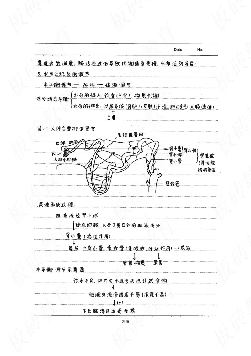 高考学霸笔记生物461页_高中衡水学霸笔记_理科衡水学霸笔记-电子版