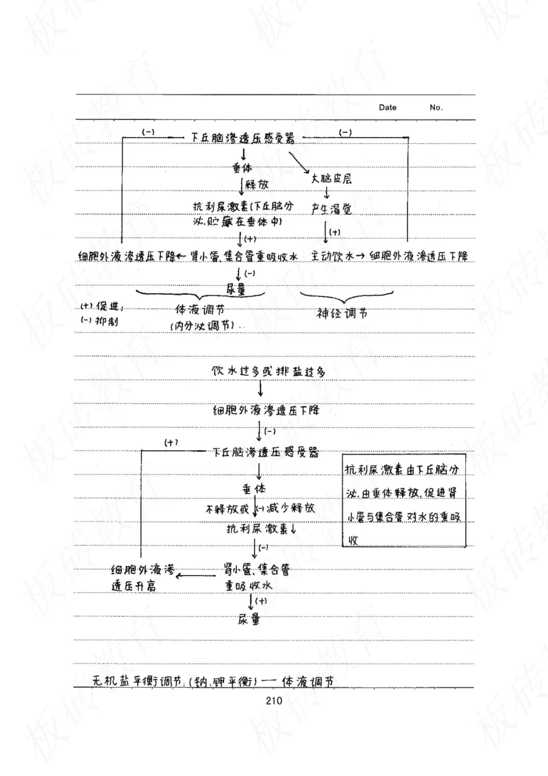高考学霸笔记生物461页_高中衡水学霸笔记_理科衡水学霸笔记-电子版