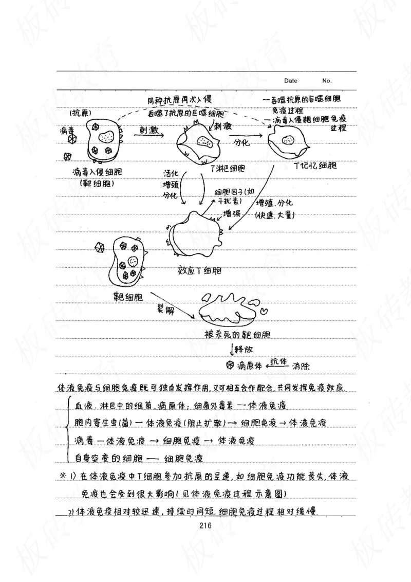 高考学霸笔记生物461页_高中衡水学霸笔记_理科衡水学霸笔记-电子版