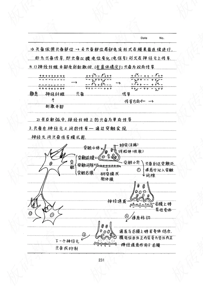 高考学霸笔记生物461页_高中衡水学霸笔记_理科衡水学霸笔记-电子版