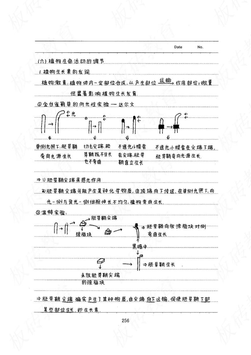 高考学霸笔记生物461页_高中衡水学霸笔记_理科衡水学霸笔记-电子版
