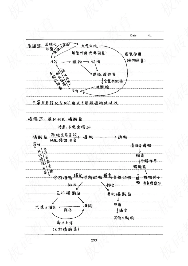 高考学霸笔记生物461页_高中衡水学霸笔记_理科衡水学霸笔记-电子版