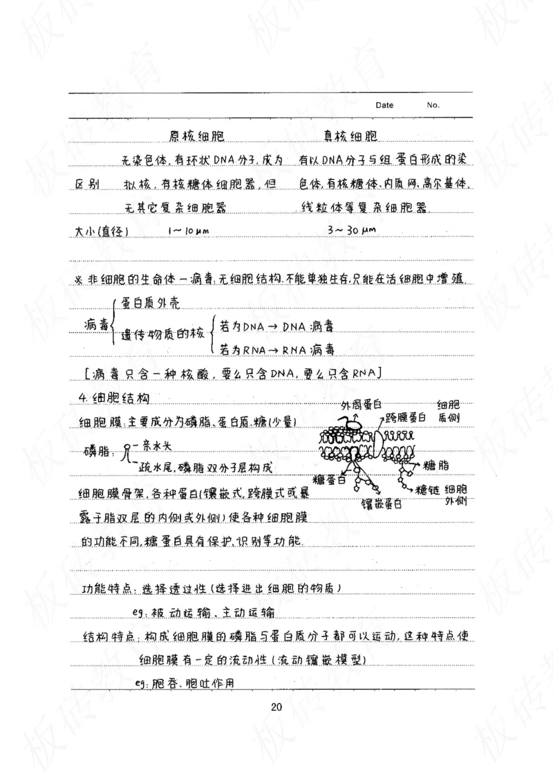 高考学霸笔记生物461页_高中衡水学霸笔记_理科衡水学霸笔记-电子版