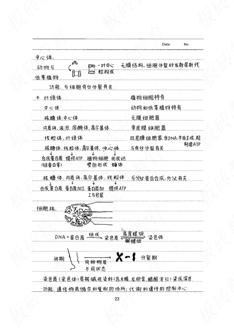 高考学霸笔记生物461页_高中衡水学霸笔记_理科衡水学霸笔记-电子版