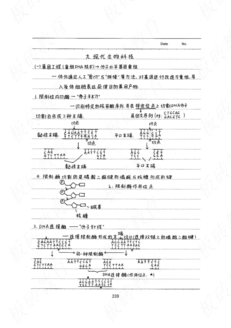 高考学霸笔记生物461页_高中衡水学霸笔记_理科衡水学霸笔记-电子版