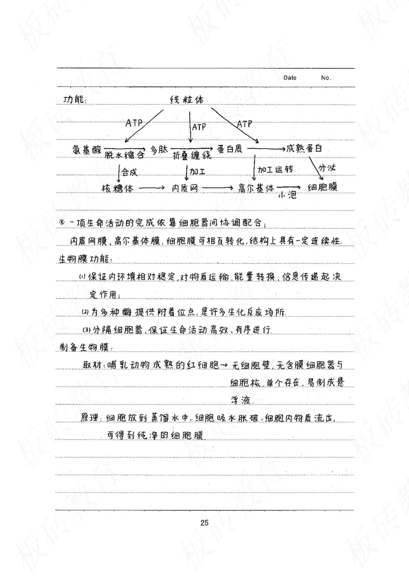 高考学霸笔记生物461页_高中衡水学霸笔记_理科衡水学霸笔记-电子版