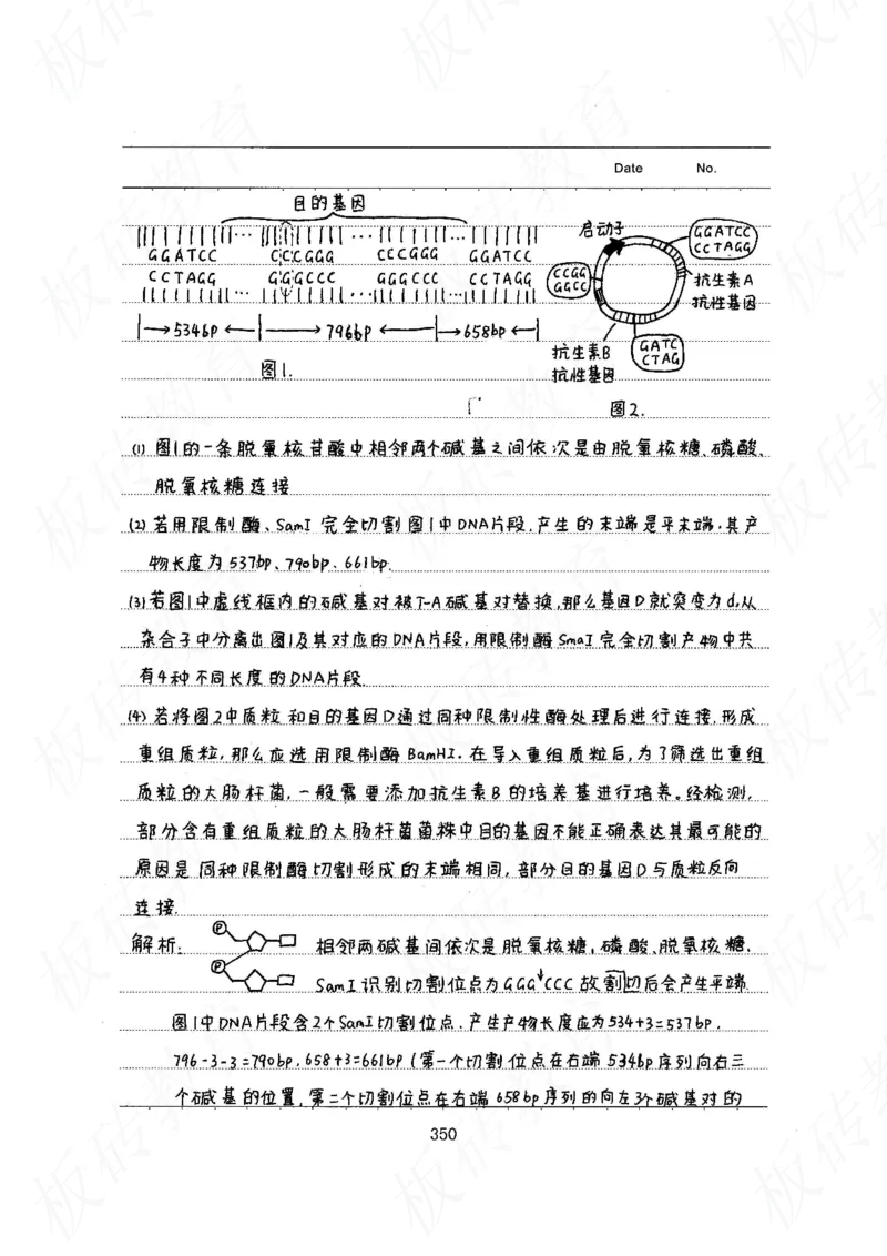 高考学霸笔记生物461页_高中衡水学霸笔记_理科衡水学霸笔记-电子版