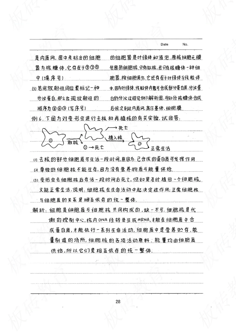 高考学霸笔记生物461页_高中衡水学霸笔记_理科衡水学霸笔记-电子版
