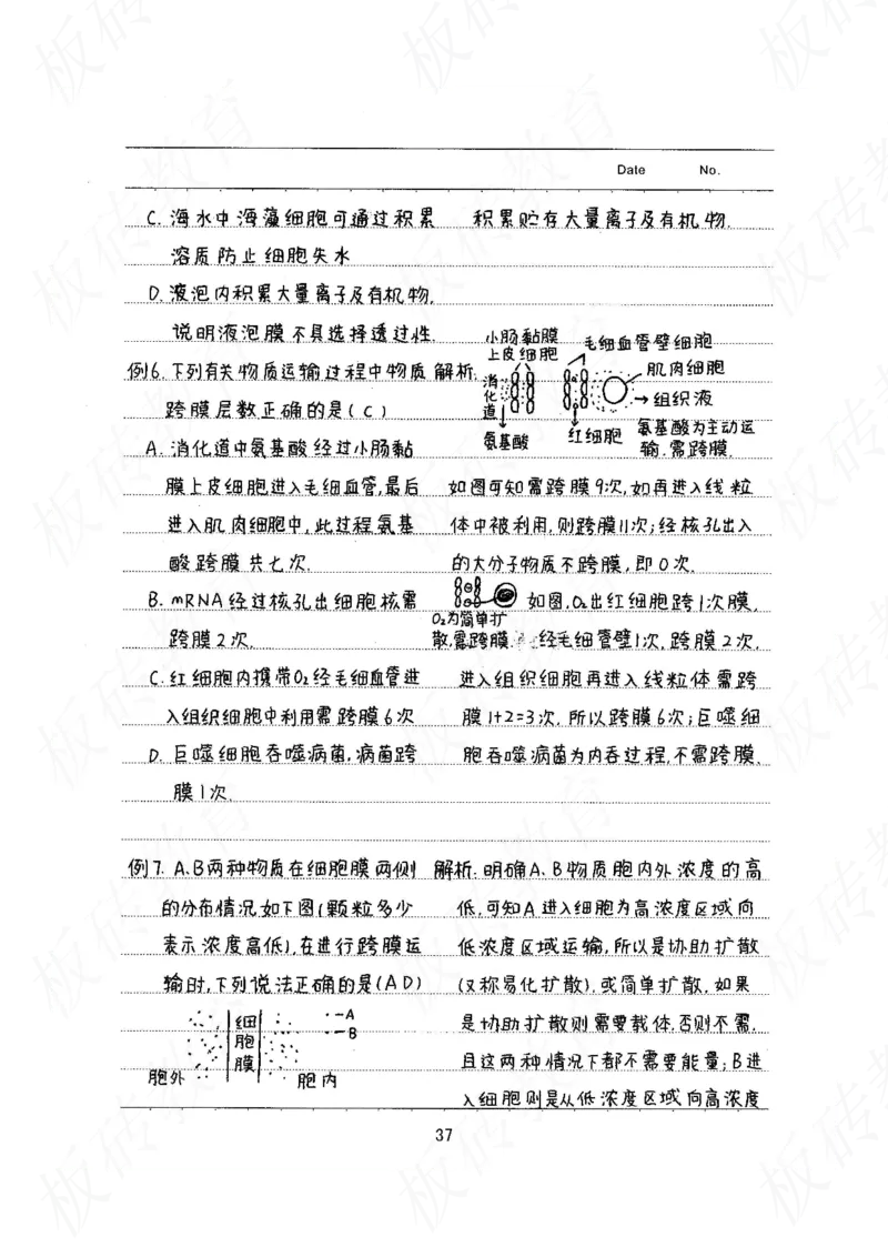 高考学霸笔记生物461页_高中衡水学霸笔记_理科衡水学霸笔记-电子版