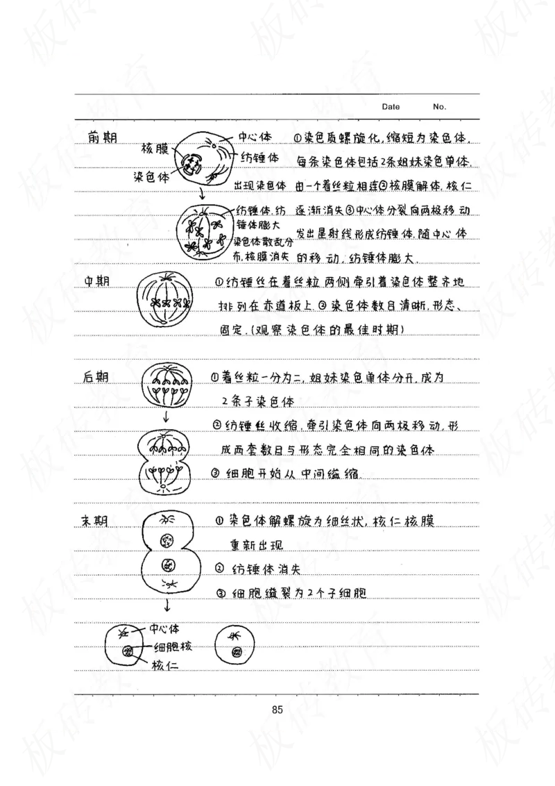 高考学霸笔记生物461页_高中衡水学霸笔记_理科衡水学霸笔记-电子版