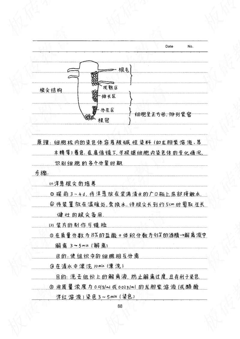 高考学霸笔记生物461页_高中衡水学霸笔记_理科衡水学霸笔记-电子版