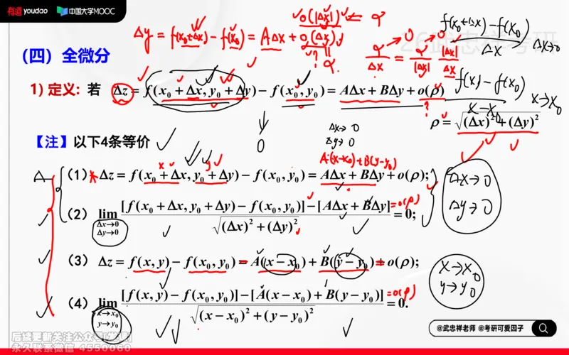 (217)--高数强化15笔记小节_已解密_01.2026考研数学有道武忠祥刘金峰全程班_01.2026考研数学武忠祥刘金峰全程班_00.书籍和讲义_{2}--资料