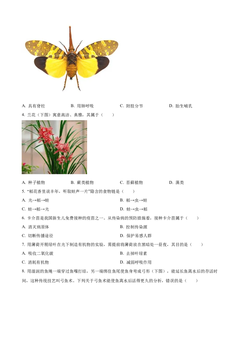 2025年广东省中考生物真题（空白卷）_❤广东中考真题备考2026_8.广东中考生物2008-2025