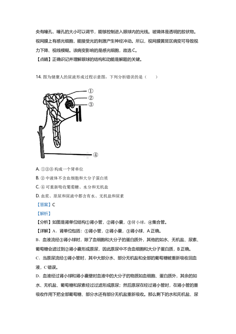 2021年广东省中考生物真题（解析卷）_❤广东中考真题备考2026_8.广东中考生物2008-2025