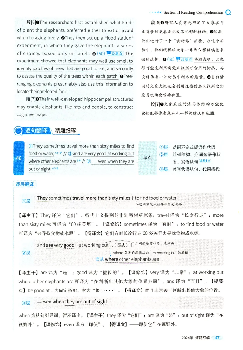 2024年真题逐题细解_41考研英语一二历年真题解析_英语一_解析册+逐词逐句册